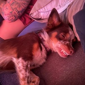 Meet your Posher, Ashley